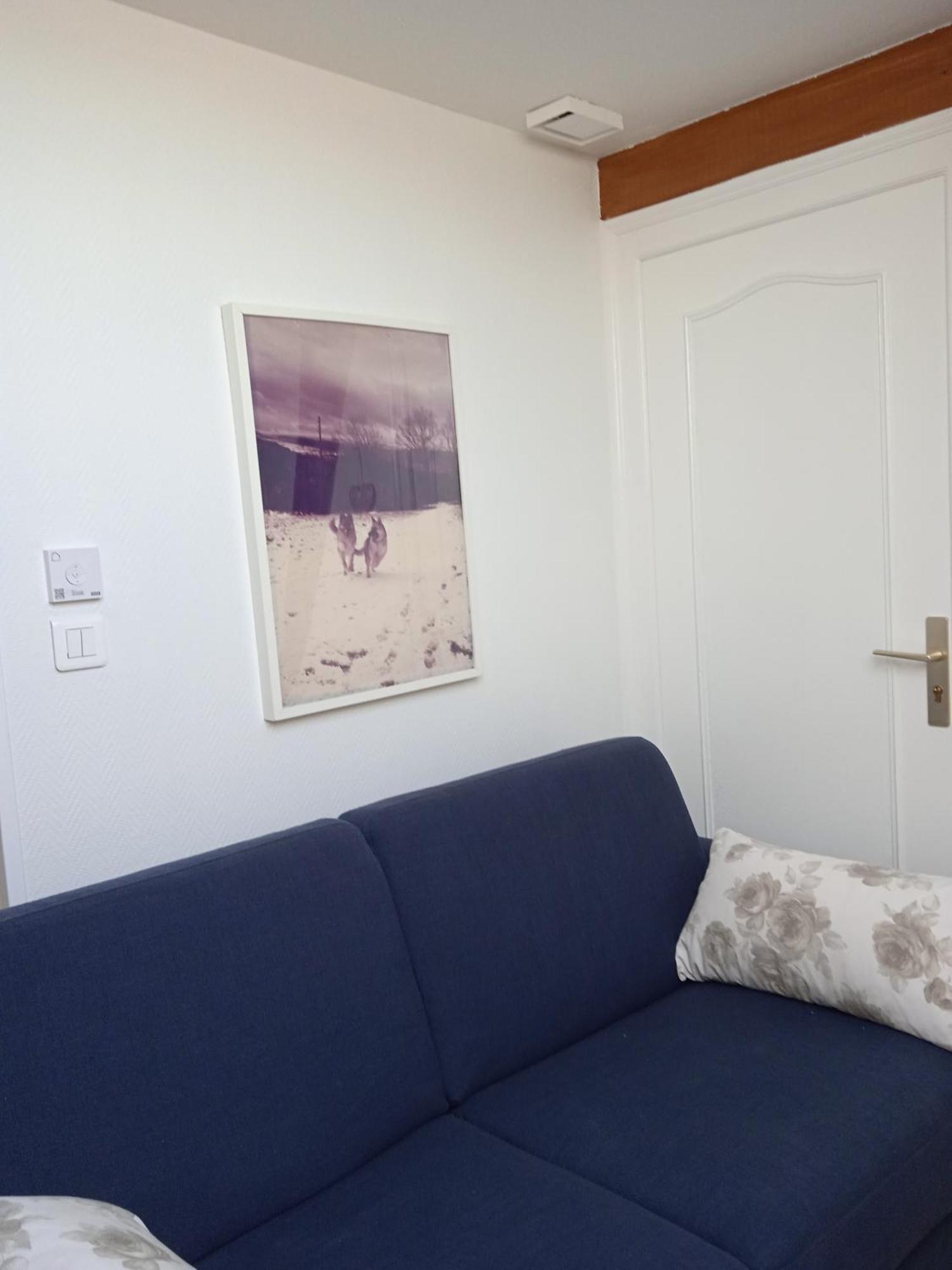 Appartement Les Roses de Rita à Boisset-lès-Montrond Extérieur photo