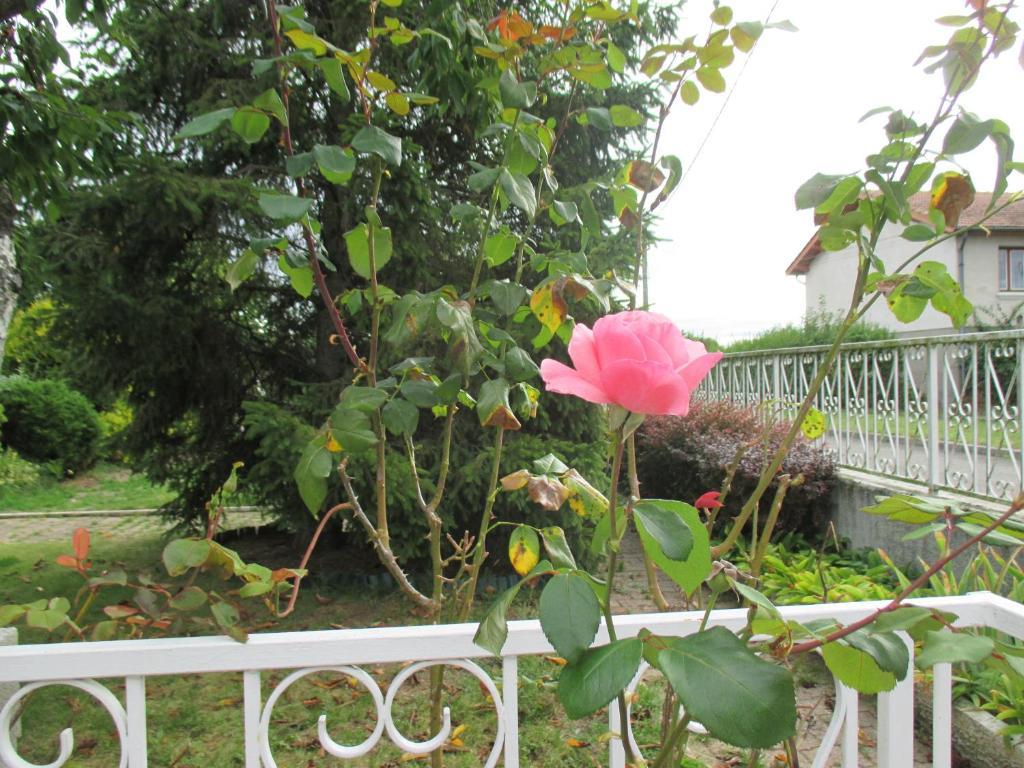 Appartement Les Roses de Rita à Boisset-lès-Montrond Extérieur photo